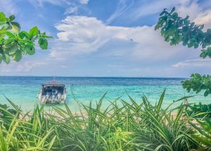 Read more about the article Ultimate Thailand Travel Guide: From Island Hopping to Jungle Trekking